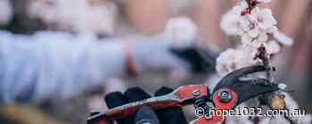 God The Gardener — A LifeWords Devotion – Hope 103.2 - Hope 103.2