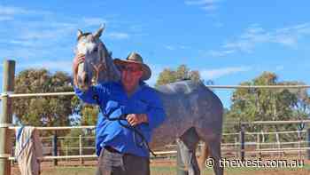 Geraldton trainer Allan Hughes says Kenyluck to focus on Perth after Ascot win - The West Australian