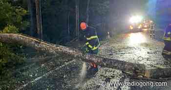 Steinfeld/Hausen: Umstürzender Baum infolge des Sturms verursacht Unfall - 106,9 Radio Gong