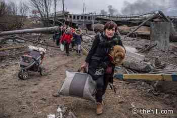 Congress cuts deal on $13.6 billion for Ukraine aid in funding bill