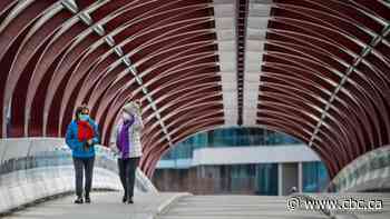 Council adds street harassment to Calgary public behaviour bylaw in unanimous vote