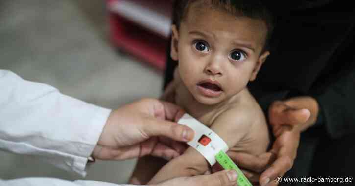 UN-Experten: Ukraine-Krieg vergrößert auch die Not in Syrien