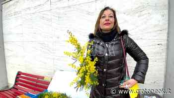 Crotone, una mimosa per le persone vittime della Guerra: la solidarietà del Comitato Pari Opportunità dell'Ordine degli avvocati - CrotoneOK.it