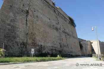 Italia Nostra,danneggiato da teppisti orto botanico Crotone - Agenzia ANSA