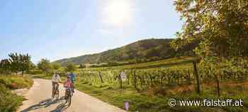 Das Burgenland wird zum »BurgenRADland«