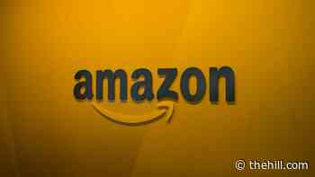 House panel refers Amazon to DOJ for potential obstruction of justice