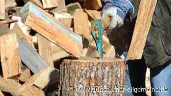 Meitingen-Erlingen: Unbekannter fällt mehrere Jungbäume in Erlingen: Zeugen gesucht | Augsburger Allgemeine - Augsburger Allgemeine