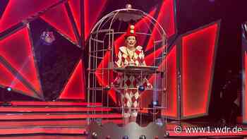 Iris Berben mit Orden "Wider den tierischen Ernst" in Aachen ausgezeichnet - WDR Nachrichten