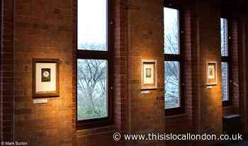 Exhibition of artist Anna Alcock's work at Walthamstow Wetlands