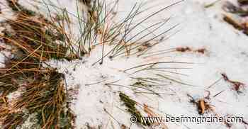 It's frost seeding time