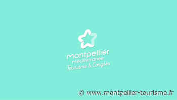 Histoire et trésors de castries, Visite guidée - Tourisme Montpellier - Office de Tourisme Montpellier