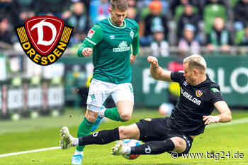 Dynamo Dresden: Sebastian Mai mit einem starken Neuanfang - TAG24