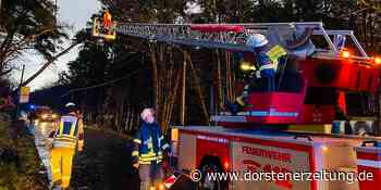 DZ+ Sturmtief in Raesfeld und Schermbeck: Stromausfall und Feuerwehreinsätze - Dorstener Zeitung