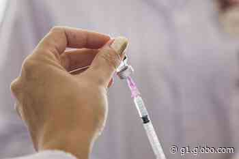 Itapeva promove show musical durante imunização contra a Covid; veja outras cidades que também vacinam - g1.globo.com