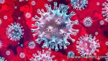 The swan song of coronavirus is audible in an ebbing third wave - Mint
