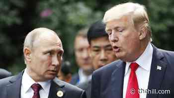 Bolton: 'Putin saw Trump doing a lot of his work for him'