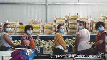 8 MARZO / Modena e provincia: «L'occupazione femminile resta bassa I livelli pre-Covid sono ancora lontani» - La Gazzetta di Modena