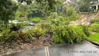 'An enormous task' ahead to fix pothole-ridden roads across Sydney and NSW after record floods