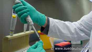 Gesundheit - Koblenz - Urteil: PCR-Tests weisen Ansteckungsfähigkeit nach - Gesundheit - Süddeutsche Zeitung - SZ.de