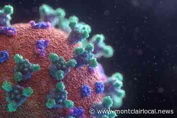 Montclair no longer posting daily coronavirus statistics online - Montclair Local