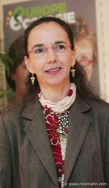 Avenir du port de Nice: les écolos ne veulent pas qu’il soit "sacrifié sur l’autel du tourisme de luxe"