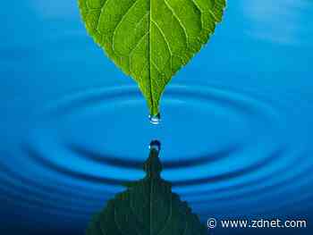 IBM partners with The Nature Conservancy India for IoT project on Lake Sembakkam