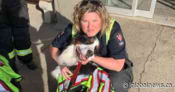 Behind the bay doors: Leduc firefighters sue for harassment, assault