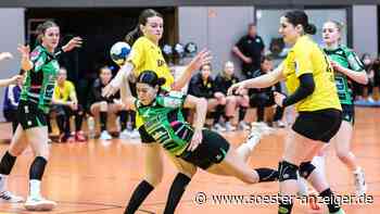 Kreis Soest, Handball, Sidney Lupisella, Werler TV, HTV Hemer, Bundesliga - soester-anzeiger.de