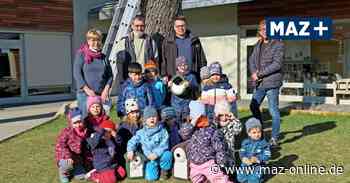 Luckenwalde: Neue Nistkästen für Garten der Evangelischen Kita - Märkische Allgemeine Zeitung