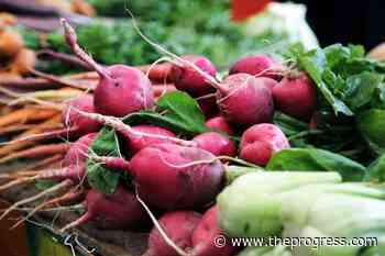 ACES hosts 9th Annual Seed Exchange in Deroche – Chilliwack Progress - Chilliwack Progress