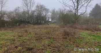 Steek de handen uit de mouwen tijdens de beheersdag op Koeheide - Het Laatste Nieuws