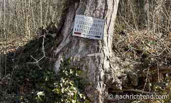 Sulz und Kaltenleutmachen sind zwei Wörter, die einem in den Sinn kommen, wenn man an Sulz und Kaltenleu denkt - nachrichtend.com