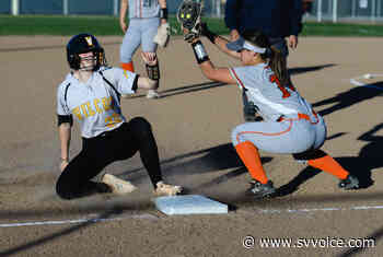 Wilcox Chargers Softball Shows Strong Foundation - The Silicon Valley Voice