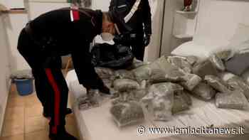 Spaccio a Prato Giardino, arrestato giovane - La mia città NEWS