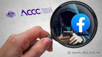 ACCC chair's parting shot to social media giant Facebook