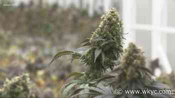 Medical marijuana sales approaching $725 million since drug became legal in Ohio - WKYC.com