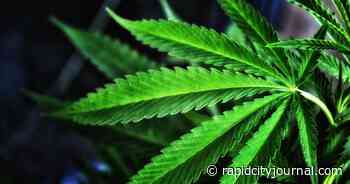 Rapid City medical marijuana dispensaries selected by state - Rapid City Journal