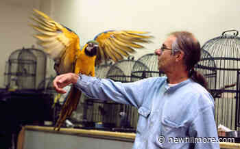 A poet's stories - Newfillmore