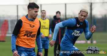 Bruno Guimaraes training glimpse hints at 'quality' Newcastle will unleash after pals' reference - Chronicle Live