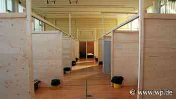 Ukraine-Flüchtlinge in Siegen: Zur Hälfte Kinder - WP News