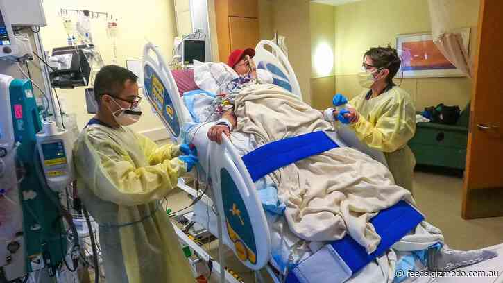 The World’s First Person to Receive a Genetically Modified Pig Heart Has Now Died