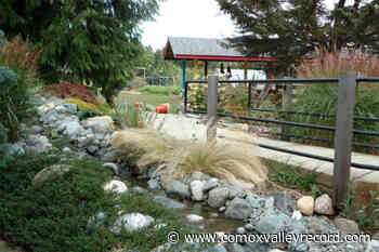 Royston’s Innisfree Farm to be featured on cable network series - Comox Valley Record