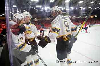 Ritchie lifts Wheat Kings to overtime win over Hitmen - The Brandon Sun
