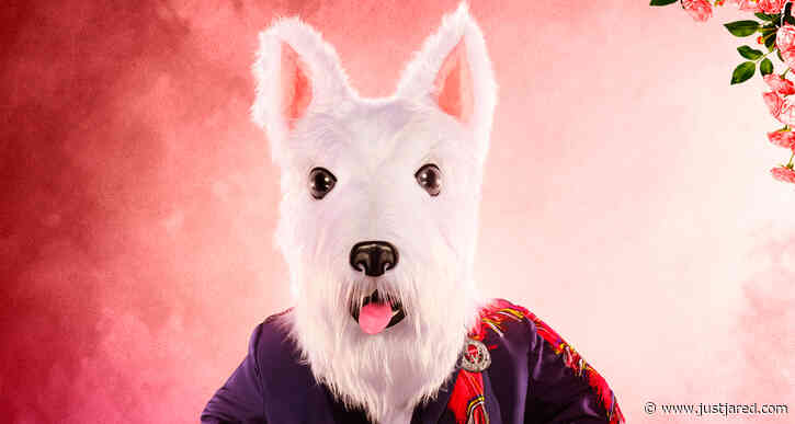 Who is McTerrier on 'The Masked Singer' Season 7? Clues, Guesses, & Spoilers Revealed!