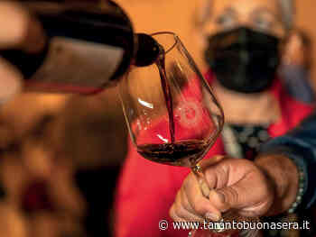 Primitivo di Manduria, ecco i numeri del 2021 | Tarantobuonasera - Taranto Buonasera