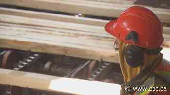 Saskatoon carpenter encouraging women to pursue trades careers amid ongoing underrepresentation - CBC.ca