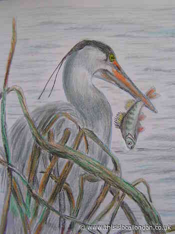 Nature Notes: Creatures of habit
