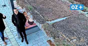 Stralsund hat jetzt eine begrünte Haltestelle: Was das bringen soll - Ostsee Zeitung