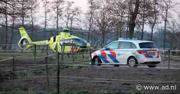 Ruiter ernstig gewond na trap van paard in Eemnes - AD.nl