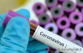Covid Vercelli: un decesso e 77 nuovi casi - Prima Vercelli